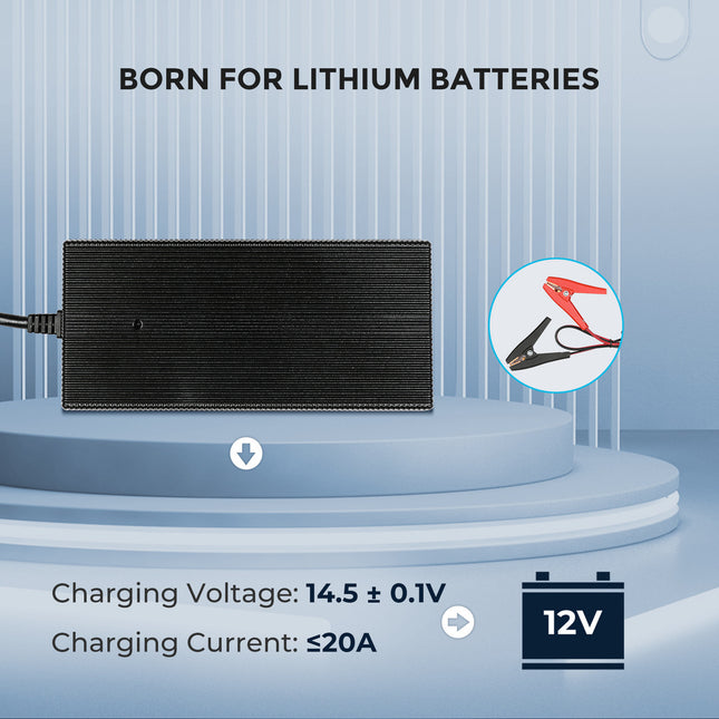 Renogy 20A AC-DC Battery Charger