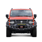 RAXAR Looped Bull Bar To Suit GWM Tank 300