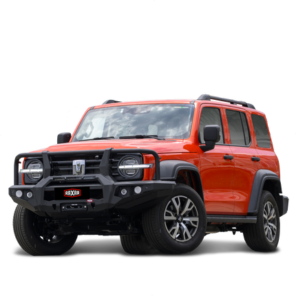 RAXAR Looped Bull Bar To Suit GWM Tank 300